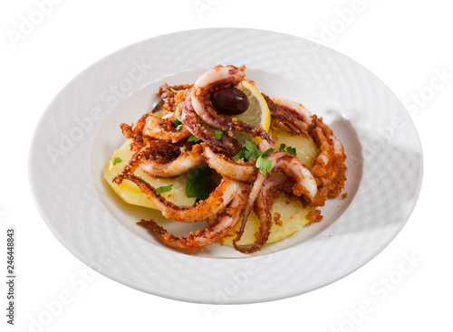 Plate of appetizing roasted shrimps