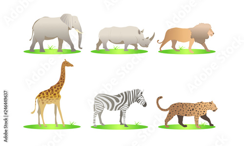 African animals cartoon vector set. elephant  rhino  giraffe  cheetah  zebra  lion. safari isolated illustration - Images vectorielles 