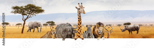 Fototapeta Naklejka Na Ścianę i Meble -  Africa Safari Animals Over Web Banner