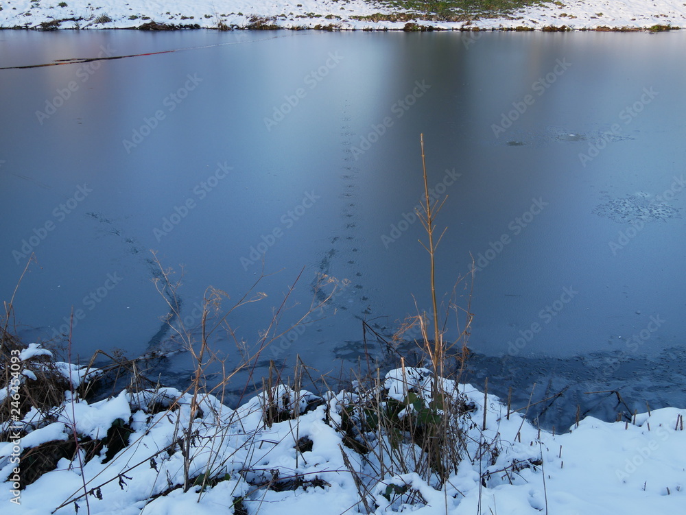 Fototapeta premium Trace d'animal sur lac gelé