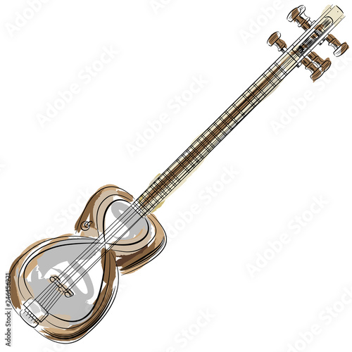 Persian Tar Setar String Instrument