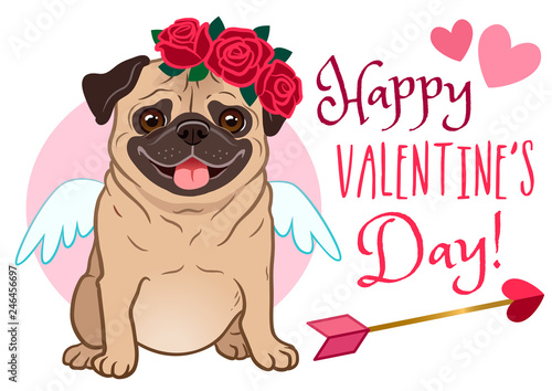 Valentine's day pug dog pet greeting card. Cute funny pug in love, dressed as Cupid, with wings, heart arrow, red rose flowers wreath on head, on white background, with text "Happy Valentine's Day".