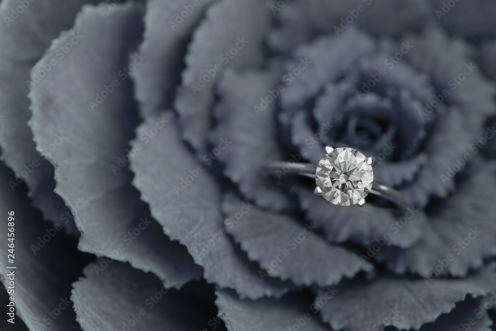 Diamond Ring Diamond Ring