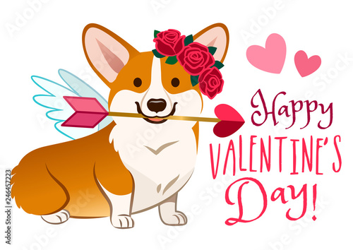 Funny corgi dog dressed as Cupid, with angel wings, rose flower wreath on head, heart arrow in mouth. Valentine's day, love, pets, dog lovers cartoon theme design element for greeting cards, banners.