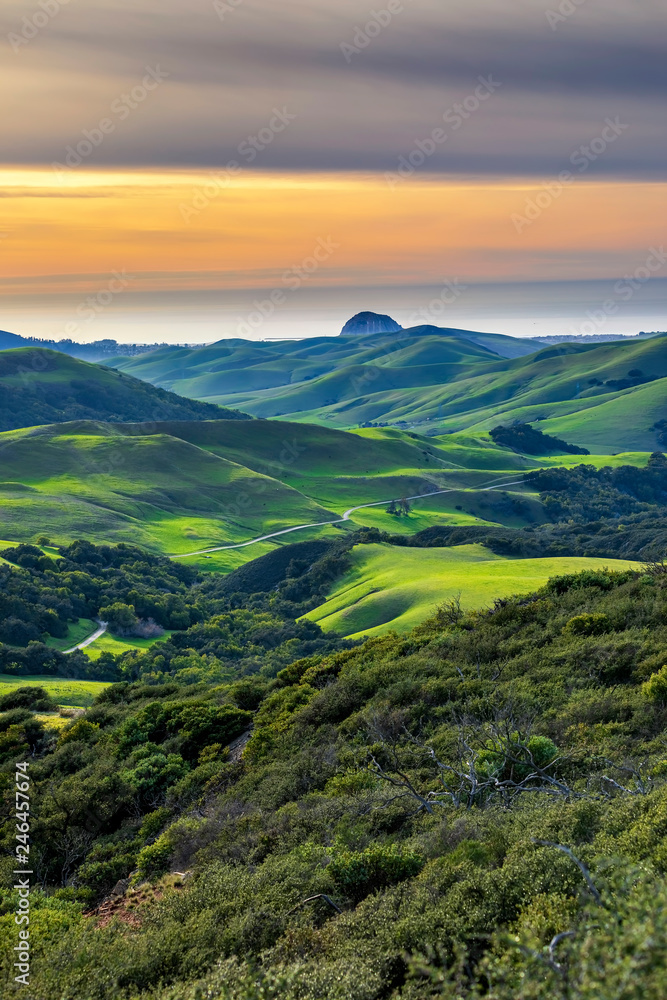 Forests and Grass Fields on Hills by Ocean 