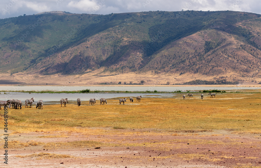 Ngorongoro Crater Safari  