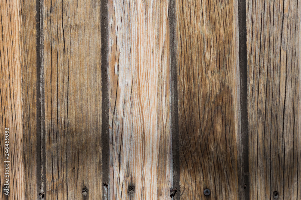 Obraz premium texture wood background