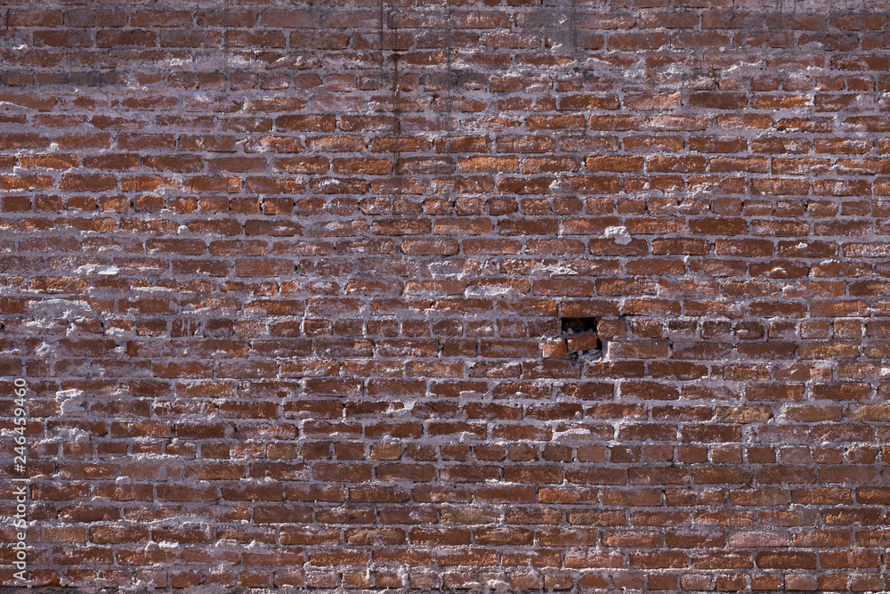 Obraz premium wall texture