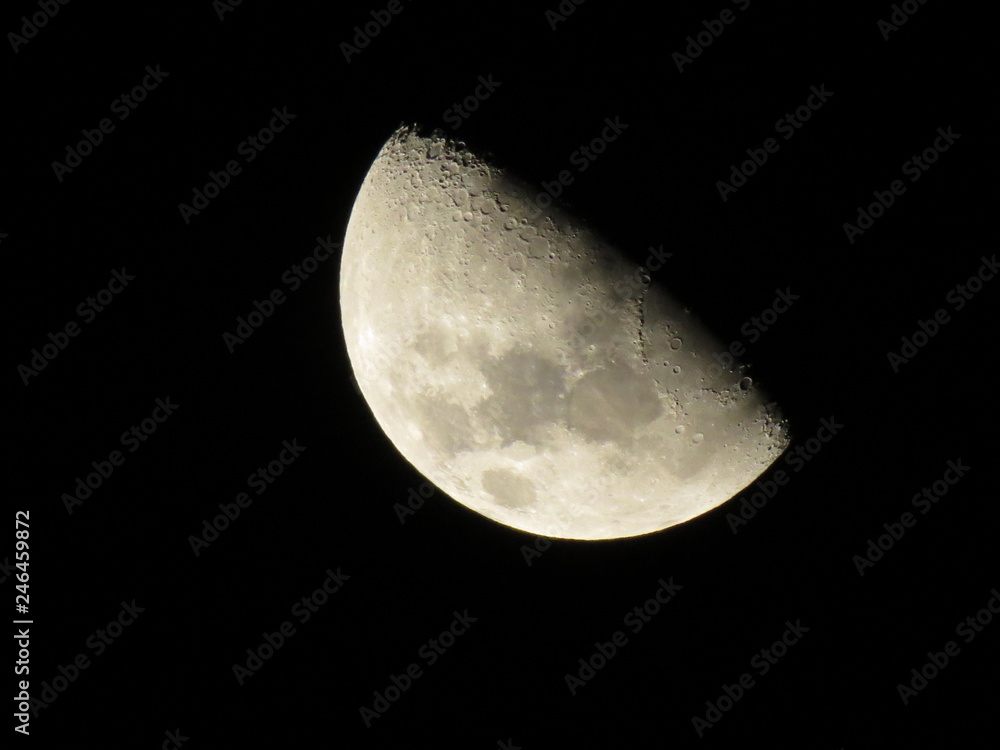 moon in the night  sky