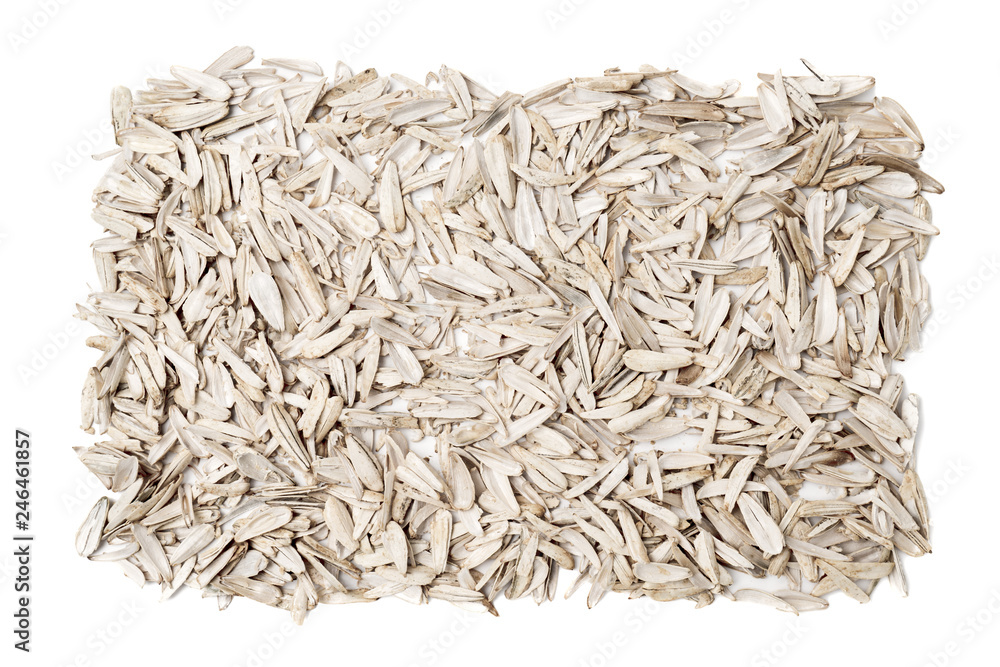 husk of white roasted sunflower seeds with spices and salt on white background top view husk of white roasted sunflower seeds with spices and salt on white background top view