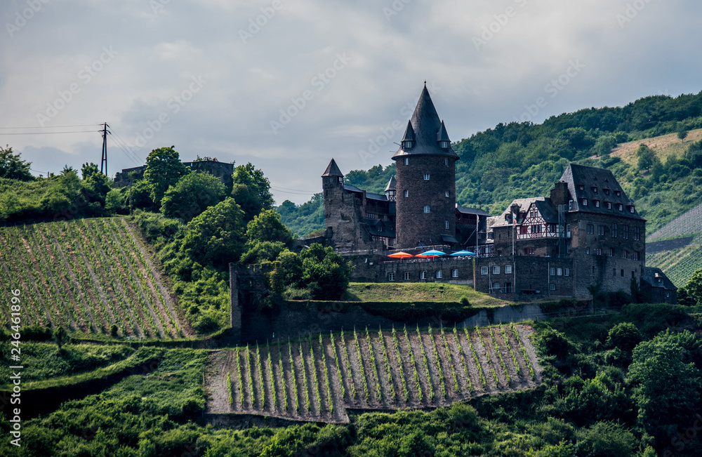 Deutschland Rheintal Burg Rheinstein und Umgebung
