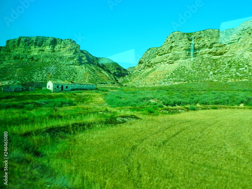 green landscape