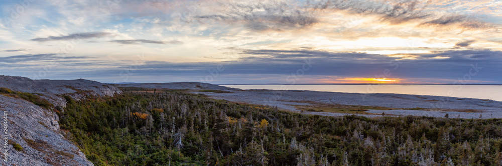 Obraz premium Scenic Canadian Landscape View on the Atlantic Ocean Coast during a cloudy sunset. Taken in Burnt Cape Ecological Reserve, Raleigh, Newfoundland, Canada.