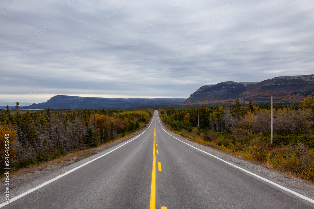 Beautiful view of a scenic road during a cloudy day. Taken in Northern Newfoundland, Canada.
