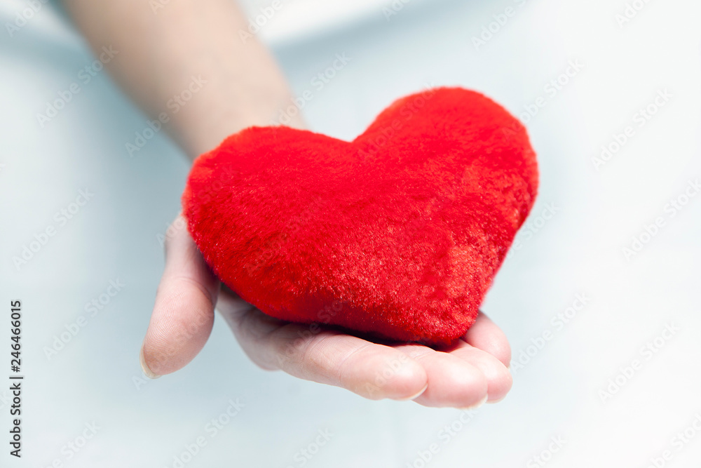 Fototapeta premium Female hands giving red heart