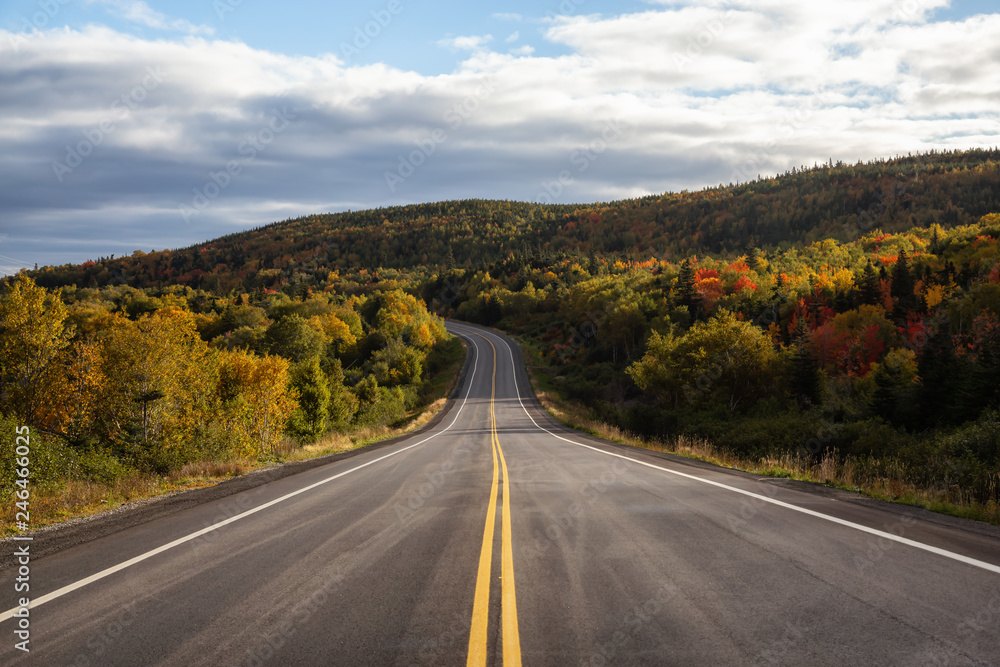 Scenic highway during a vibrant sunny day in the fall season. Taken in Newfoundland, Canada. Scenic highway during a vibrant sunny day in the fall season. Taken in Newfoundland, Canada.