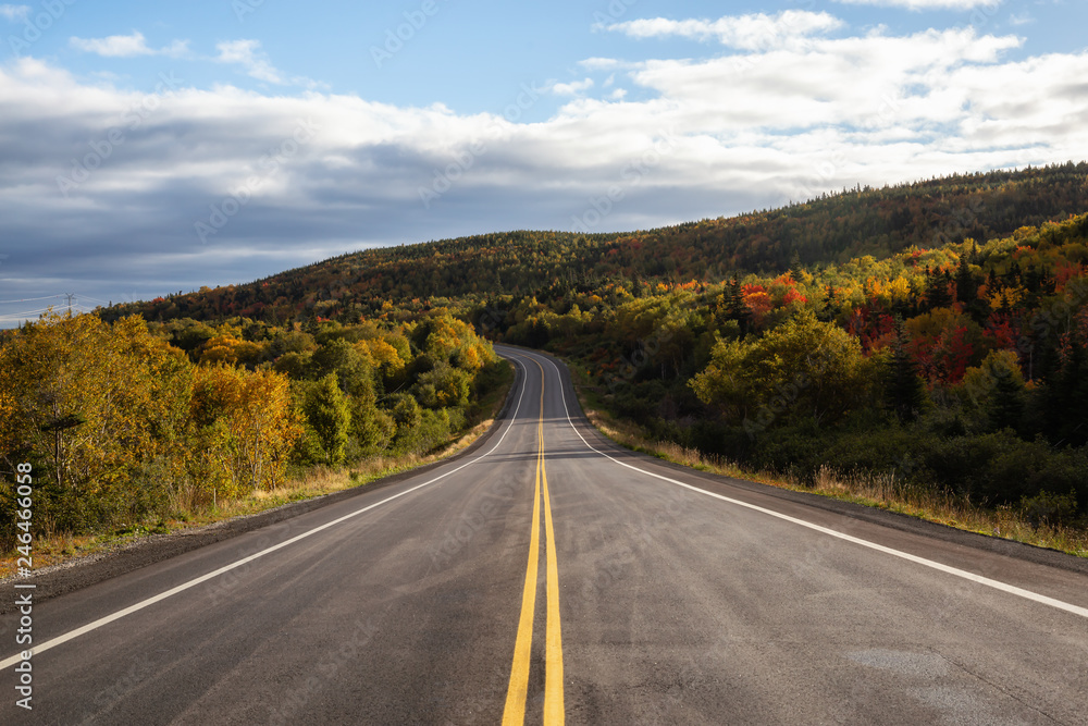 Scenic highway during a vibrant sunny day in the fall season. Taken in Newfoundland, Canada. Scenic highway during a vibrant sunny day in the fall season. Taken in Newfoundland, Canada.