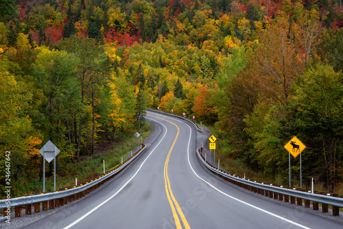 Scenic road in the mountains surrounded by vibrant Fall Color Trees. Taken in Forillon National Park, near Gaspé, Quebec, Canada.