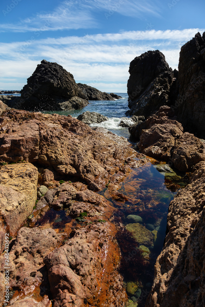 Rocky beach on the Pacific Ocean Coast during a sunny summer day. Taken in Palmerston Beach, Northern Vancouver Island, BC, Canada. Rocky beach on the Pacific Ocean Coast during a sunny summer day. Taken in Palmerston Beach, Northern Vancouver Island, BC, Canada.