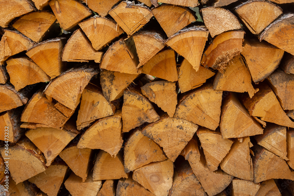 Harvested firewood lies in the woodpile