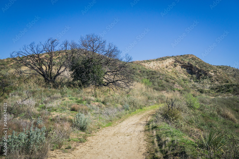 Offroad Trail in Desert Hills