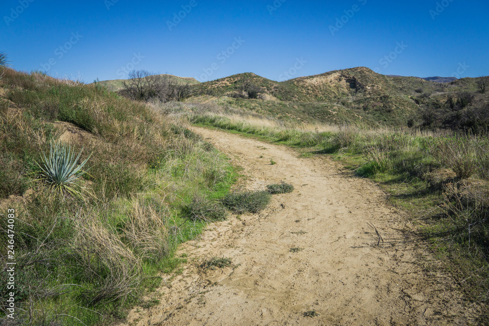 Walking Path in California Hills
