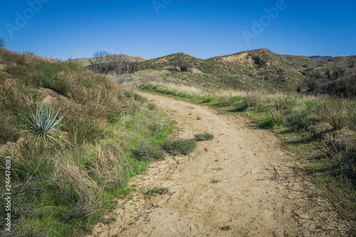 Walking Path in California Hills photo