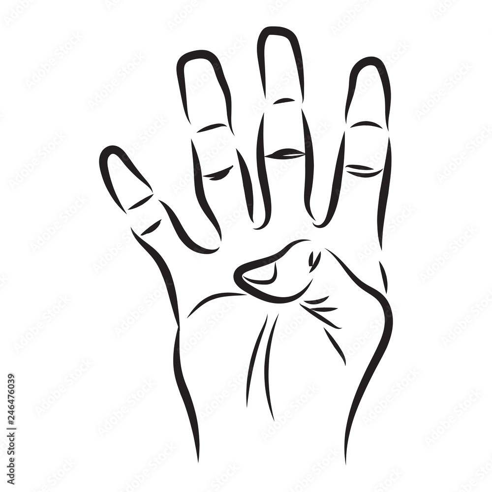 Obraz premium finger with gesture four isolated on white background. Vector Illustration. 
