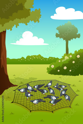 Pigeons Trapped on Ground Illustration