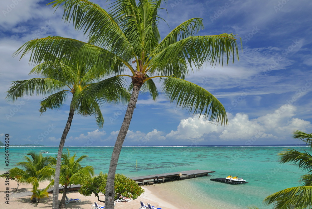 Fototapeta premium ponton et scooter des mers dans le lagon de moorea