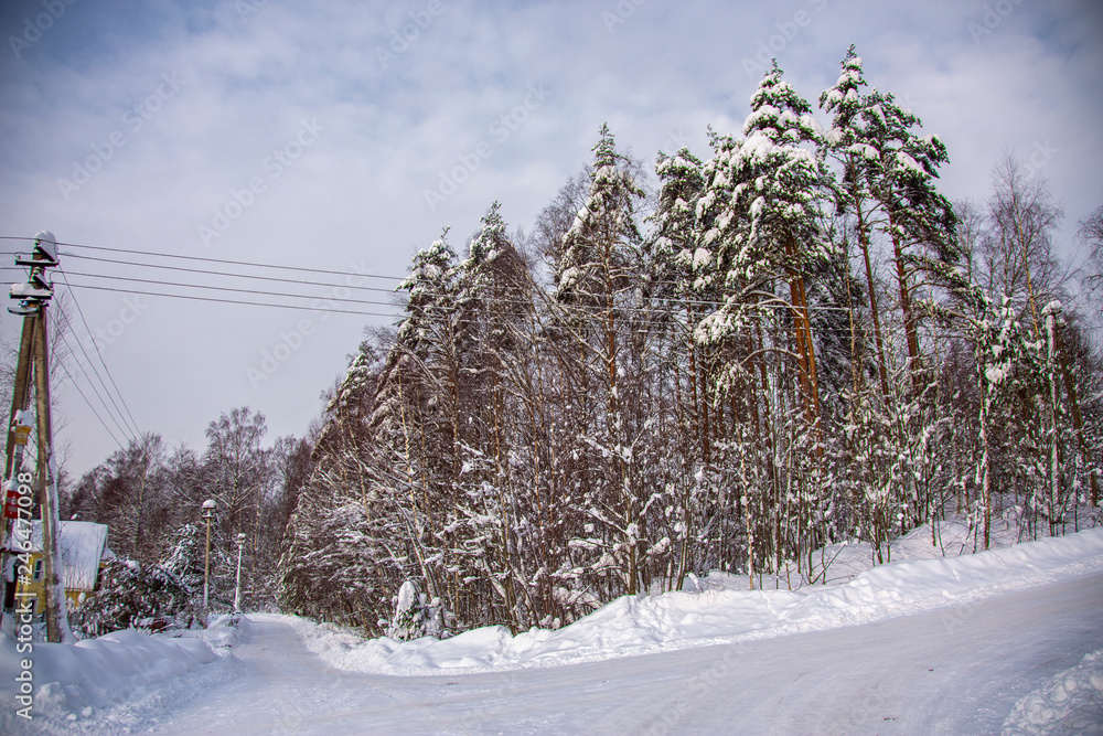 Obraz premium winter landscape outside the city
