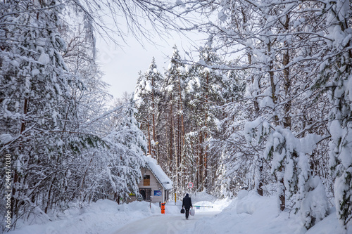 winter landscape outside the city