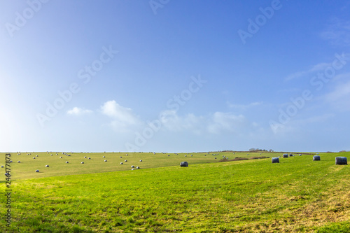 Amazing meadows populated by grass pushed by the wind grows in the rural lands of Wales. A panoramic view over the south coast of Wales, Pembrokeshire Coastal Path. Awe green and blue farm background