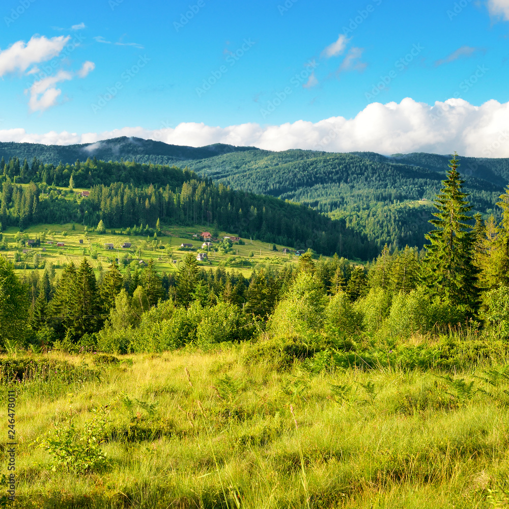Obraz premium View Carpathian Mountains at sunset.