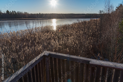 wiew from a observation tower near a lake photo