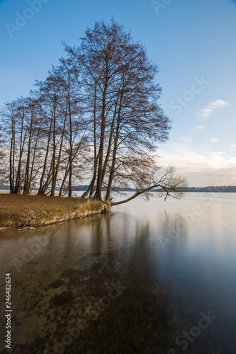 Fototapeta Naklejka Na Ścianę i Meble -  A tree by the lake during a calm autumn afternoon