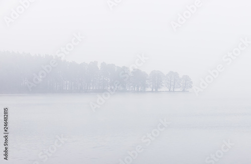 Line of trees over a misty lake in winter