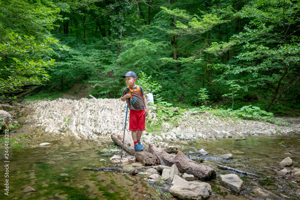 Boy traveler crosses the creek on a log