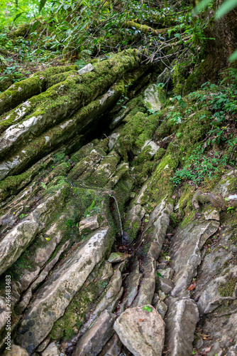 A small stream flows through limestone cliffs