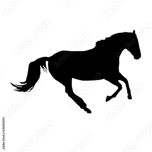 Pferd Galopp Vektor