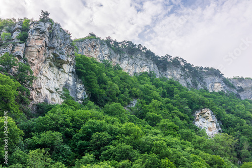 High cliffs with a thick green forest on the slopes.