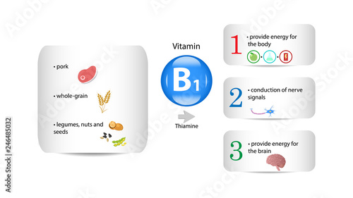 Vitamin B1 vector design. Vitamin B1 function and sources 