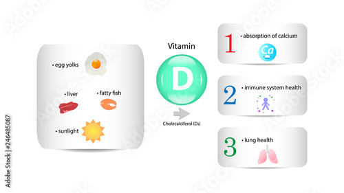Vitamin D vector design. Vitamin D function and sources. Cholecalciferol D3