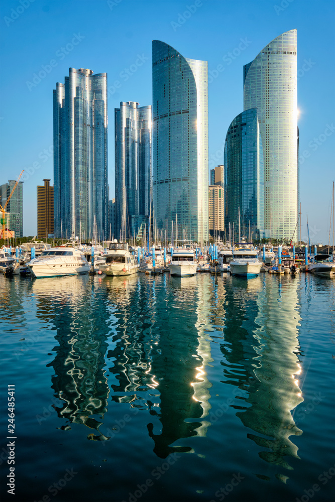 Fototapeta premium Busan marina with yachts on sunset, South Korea