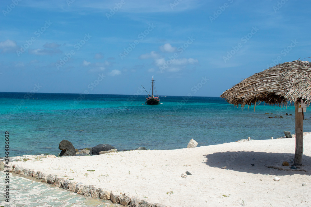 Fototapeta premium Barco