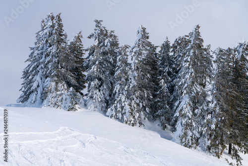 Skispuren mit Winterlandschaft