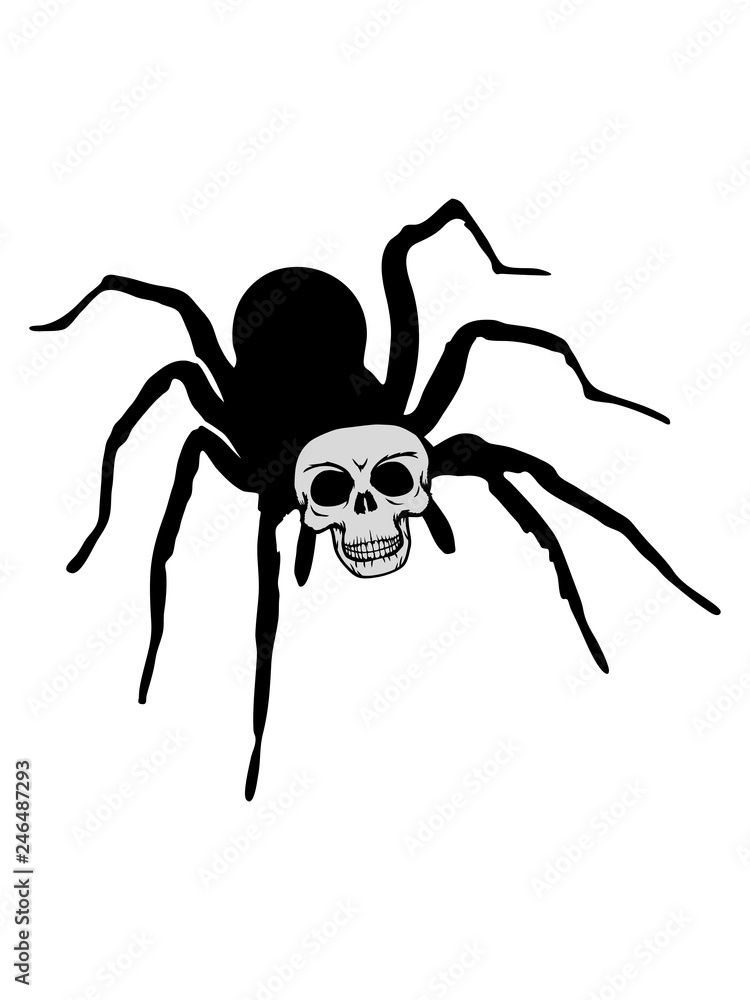 totenkopf schädel skelett tod tot böse klein gesicht spinne vogelspinne  design clipart logo ekelig krabbeln monster horror halloween angst Stock  Illustration | Adobe Stock