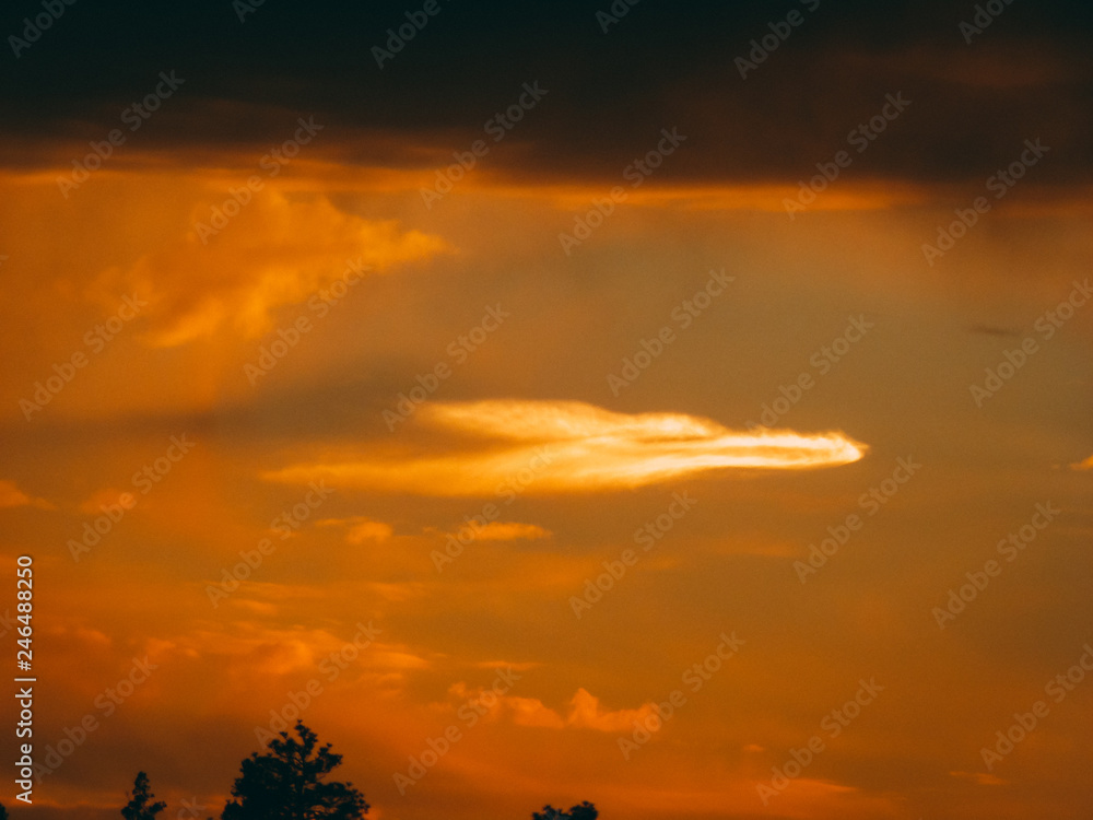Seahawk Cloud Seahawk Cloud