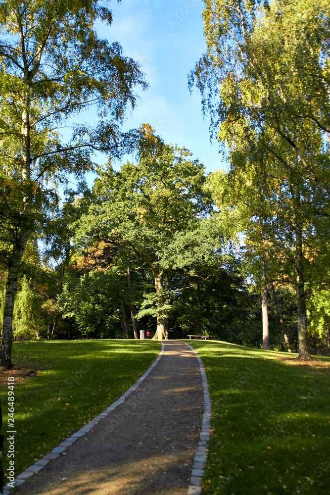 Photo of a park in a German city. Beautiful nature of Germany. Green park area of Hamburg. Park paths for walking people. Beautiful nature on a sunny day.