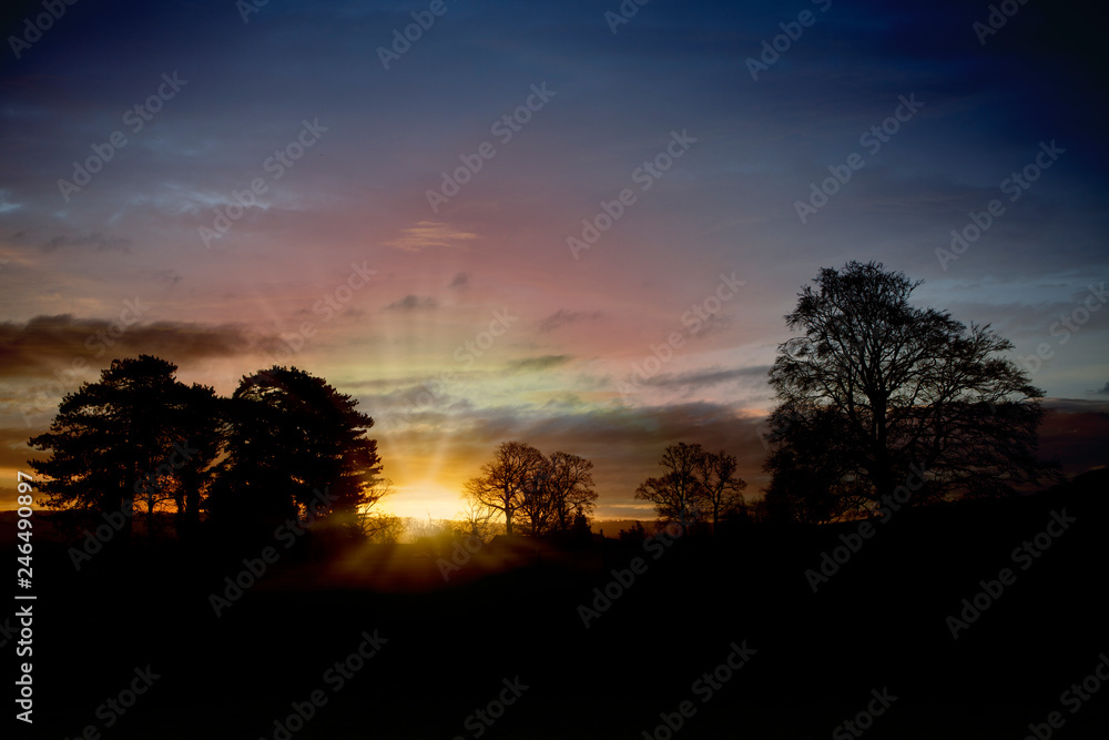 landscape at sunrise in winter with trees on the horizon against the light